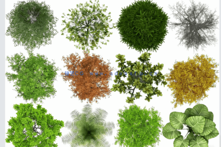 PSD平面植物素材(图3)