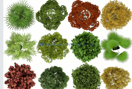 PSD平面植物素材(图4)