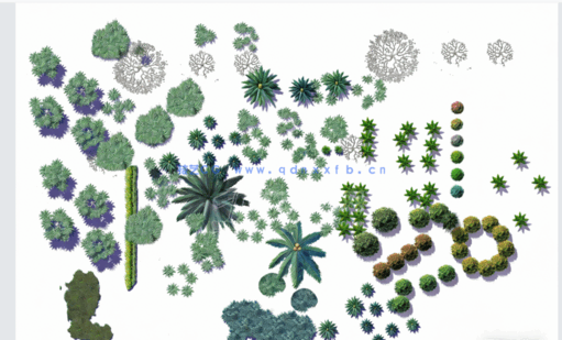 PSD小清新平面植物素材(图3) PSD小清新平面植物素材(图3)