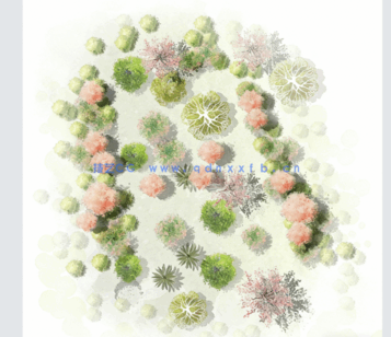 PSD小清新平面植物素材(图4) PSD小清新平面植物素材(图4)