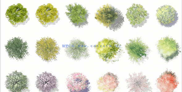 PSD小清新平面植物素材(图5) PSD小清新平面植物素材(图5)