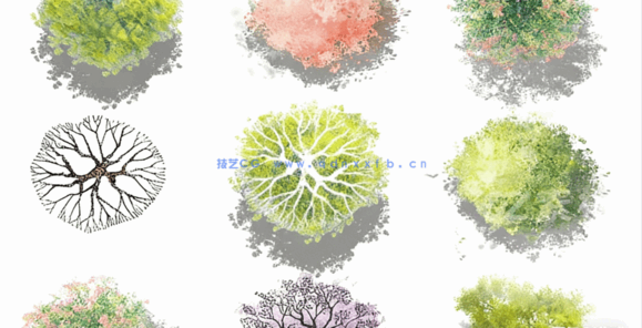PSD小清新平面植物素材(图6) PSD小清新平面植物素材(图6)