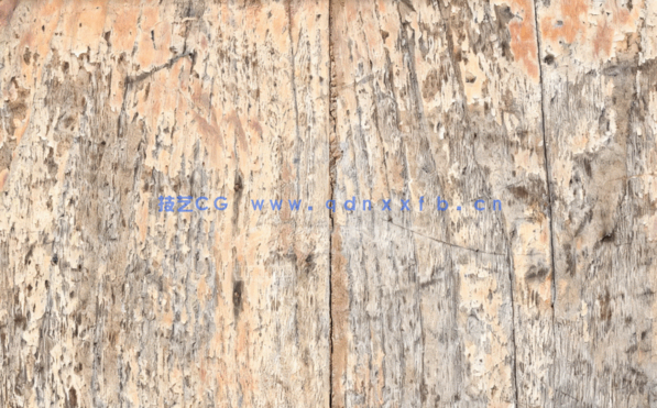 20张高清旧木贴图(图2)