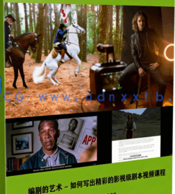 【中文字幕】编剧的艺术 - 如何写出精彩的影视级剧本视频课程(图6) 【中文字幕】编剧的艺术 - 如何写出精彩的影视级剧本视频课程(图6)