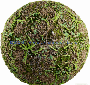 30组草地草坪纹理贴图素材 Artstation – 30 Grass Texture,4K分辨率(图1)