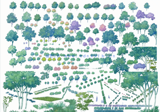 室内设计AECOM水彩风PS素材合集+40只立面植物ps笔刷(图3)