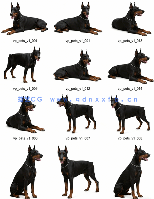 宠物PSD高清免抠素材Viz-People – Pets v1(图3)