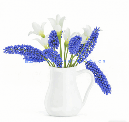 C4D白色陶瓷花瓶蓝色青花观赏盆栽模型 Blue and White Flowers in White Pot(图1)