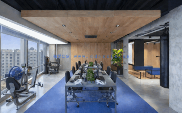 2022室内设计师资料库 国外工装篇 健身房(71)套(图3)