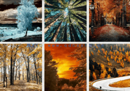 唯美森林风景沙发背景装饰画贴图(图3)