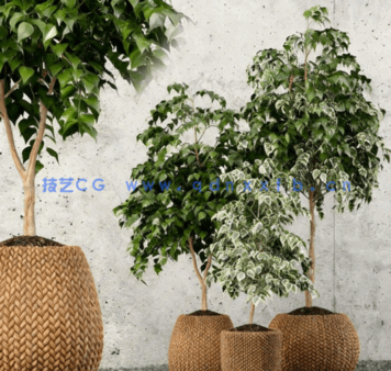 精品家具装饰等3D模型合集2024年第八季(图4)