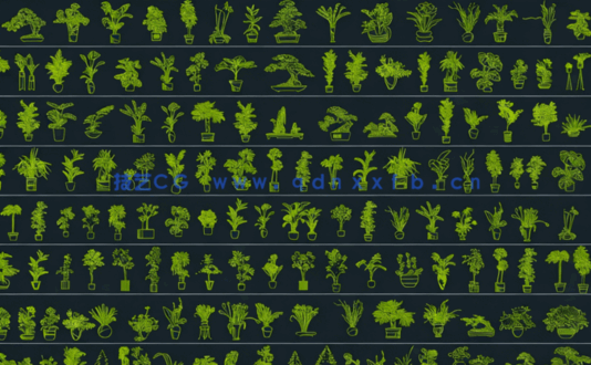 2026年最新超全绿植CAD盆栽CAD植物立面CAD绿植装饰摆件CAD植物CAD盆景CAD花卉CAD图库(图2)