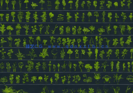 2026年最新超全绿植CAD盆栽CAD植物立面CAD绿植装饰摆件CAD植物CAD盆景CAD花卉CAD图库(图4)