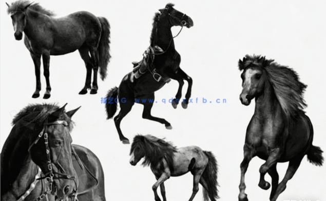 不同种类黑骏马科幻场景图层叠加PSD模板(图3)