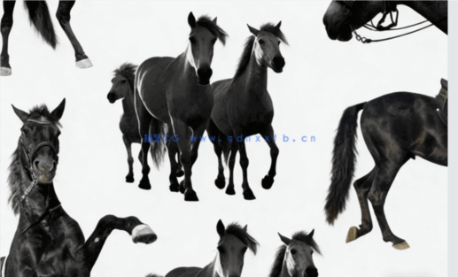 不同种类黑骏马科幻场景图层叠加PSD模板(图5)