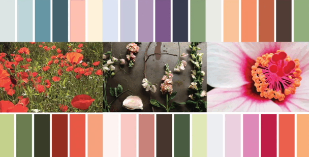 色彩搭配软装设计概念素材(图3)