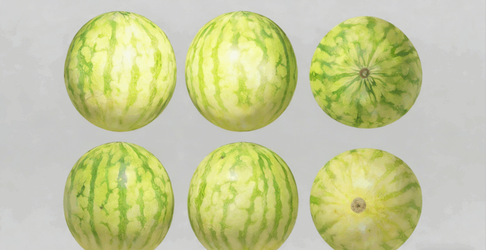 西瓜水果模型 Water Melon Fruit model (图1)
