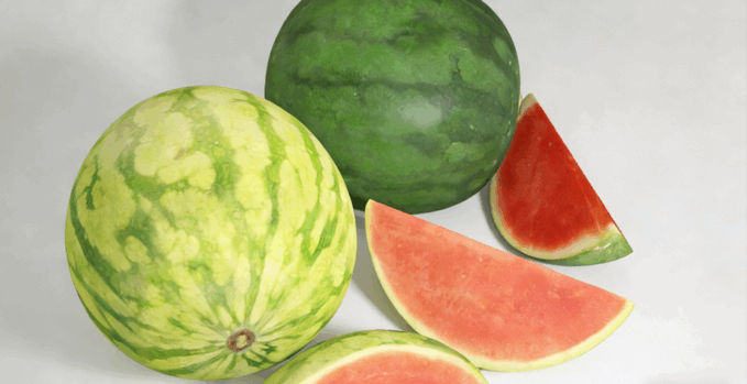 西瓜水果模型 Water Melon Fruit model (图5)