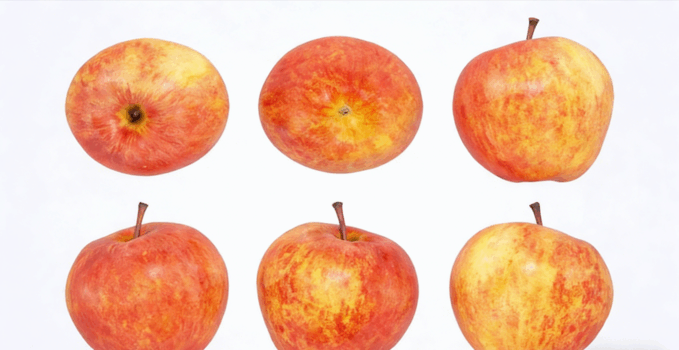 苹果水果模型 Apples Fruit model(图1) 苹果水果模型 Apples Fruit model(图1)