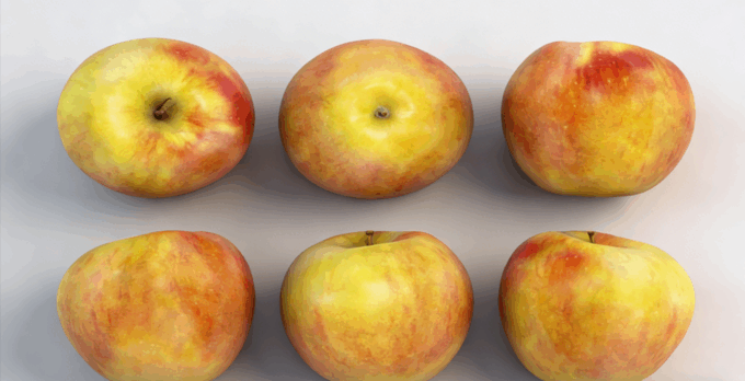 苹果水果模型 Apples Fruit model(图3) 苹果水果模型 Apples Fruit model(图3)