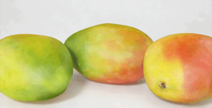 芒果水果模型 Mangos Fruit model(图1) 芒果水果模型 Mangos Fruit model(图1)