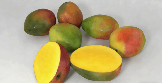 芒果水果模型 Mangos Fruit model(图3) 芒果水果模型 Mangos Fruit model(图3)