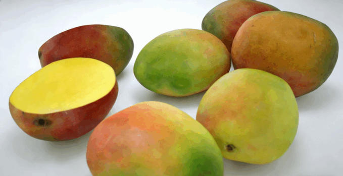 芒果水果模型 Mangos Fruit model(图4) 芒果水果模型 Mangos Fruit model(图4)