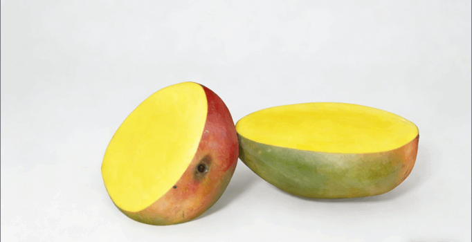 芒果水果模型 Mangos Fruit model(图2) 芒果水果模型 Mangos Fruit model(图2)