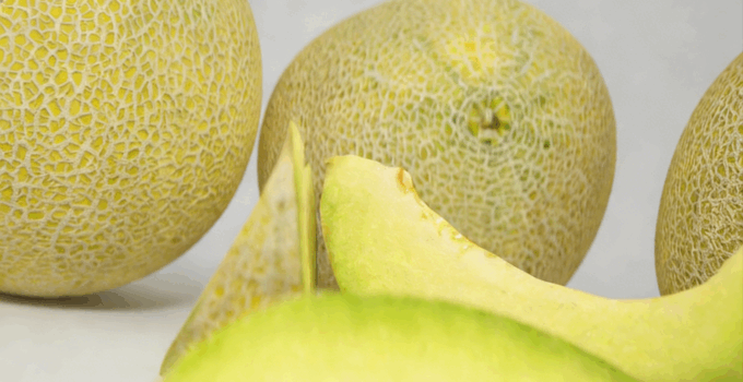 加利亚甜瓜水果模型 Galia Melon Fruit model(图3) 加利亚甜瓜水果模型 Galia Melon Fruit model(图3)