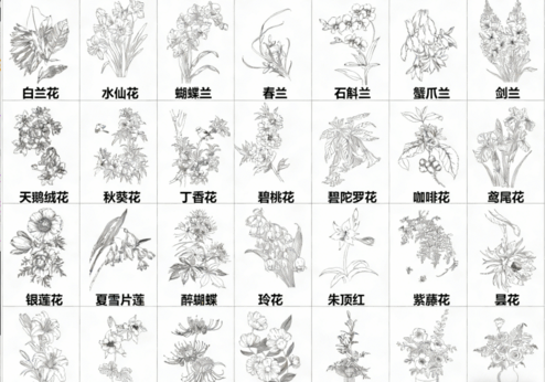 2026年最新超全花草花卉CAD图库CAD花草CAD绿植CAD植物CAD月季花CAD玫瑰花CAD菊花CAD(图3)