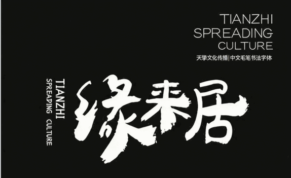 541款古风书法国潮古韵毛笔手写艺术设计字体包(图5)