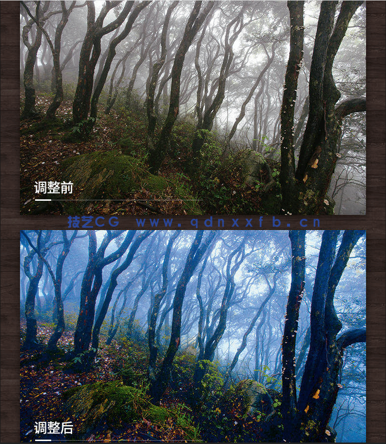 老邮差 Photoshop数码照片处理技法 色彩篇(修订版)(图10) 老邮差 Photoshop数码照片处理技法 色彩篇(修订版)(图10)