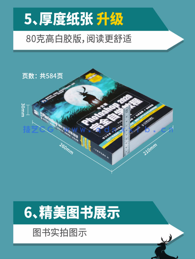 中文版Photoshop 2020完全自学教程(图10)