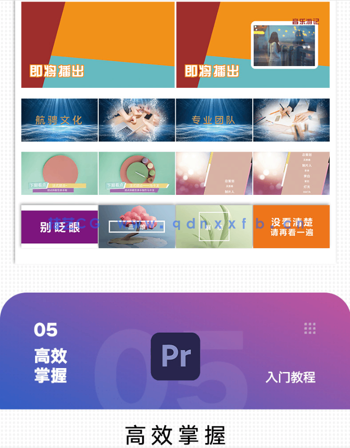 中文版Premiere Pro 2023入门教程