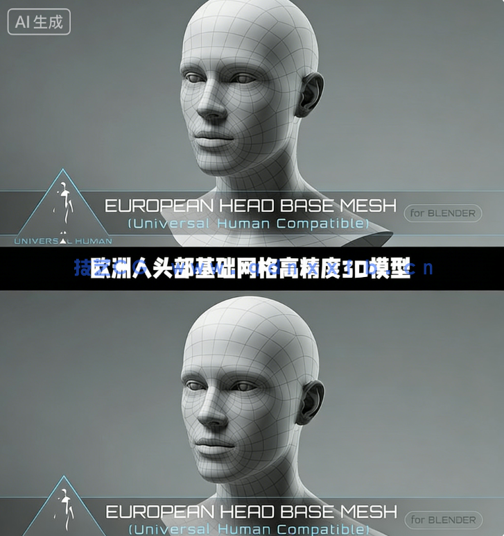 欧洲人头部基础网格高精度3D模型