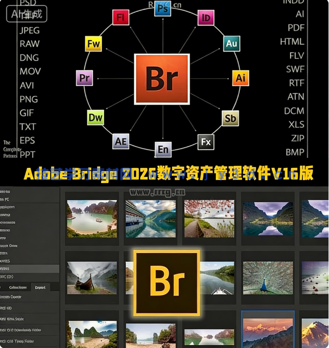 Adobe Bridge 2026数字资产管理与创意工作流枢纽软件V16.0.3版(图1)