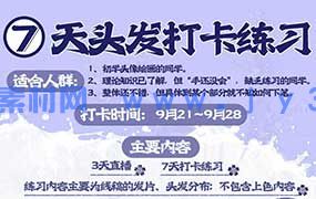 念萦墨葵七天头发打卡练习2025年（画质清晰带课件笔刷）