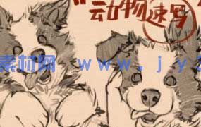 凶猛悍兔动物插画速写课2025年（高清画质带素材笔刷）