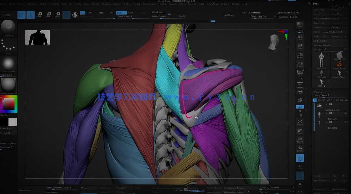 【中文字幕】ZBrush人体雕刻技术进阶大师班视频教程(图2)