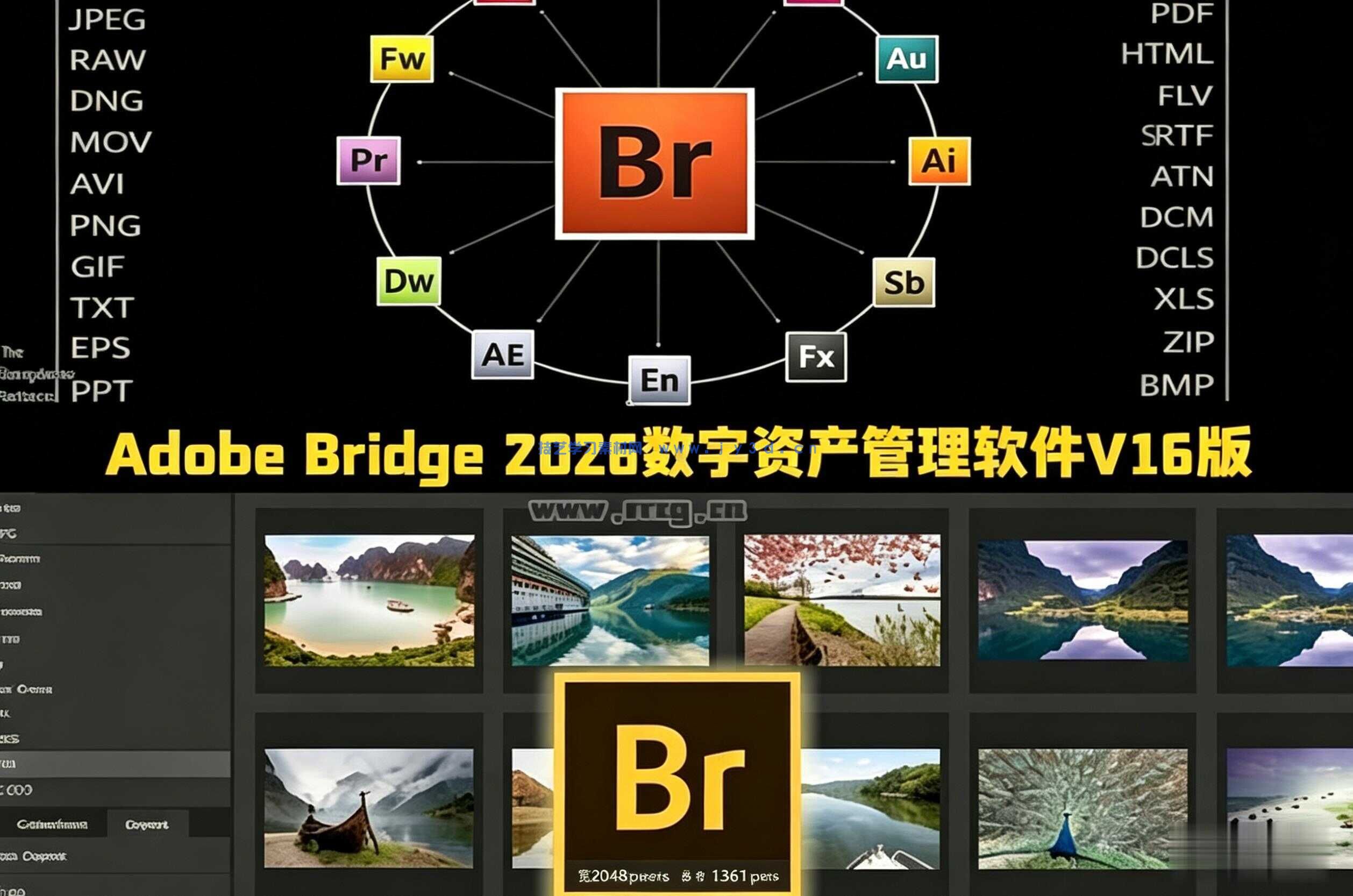 Adobe Bridge 2026数字资产管理与创意工作流枢纽软件V16.0.3版