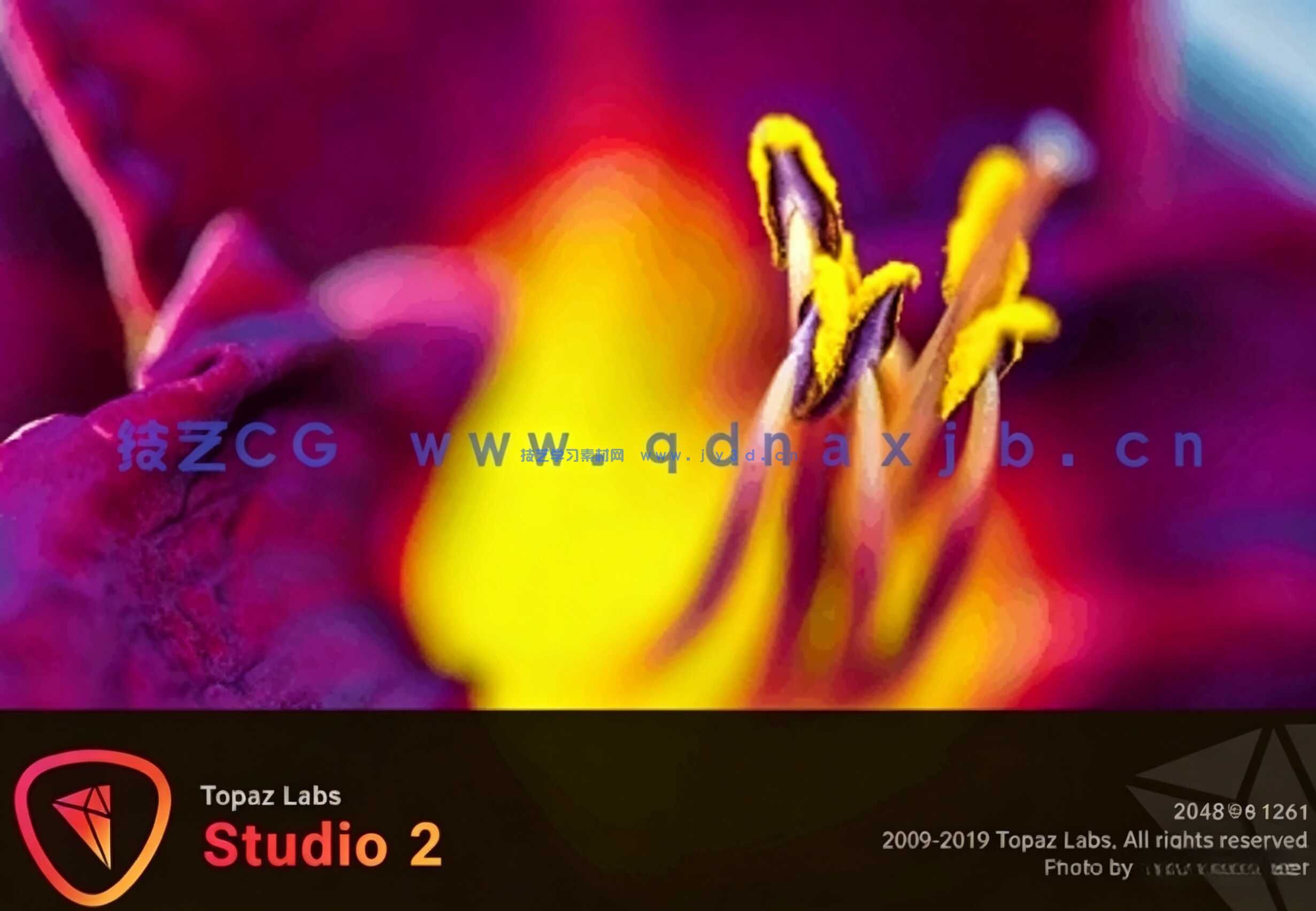 Topaz  Studio2  x64 后期图像处理编辑滤镜