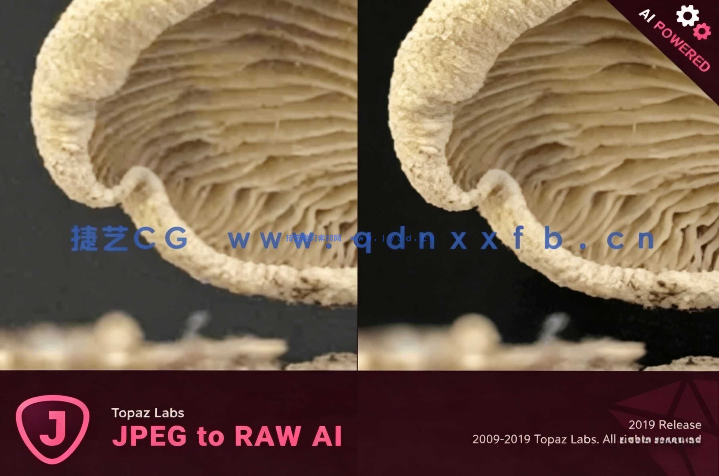 Topaz JPEG to RAW AI   JPEG格式转换为RAW格式软件