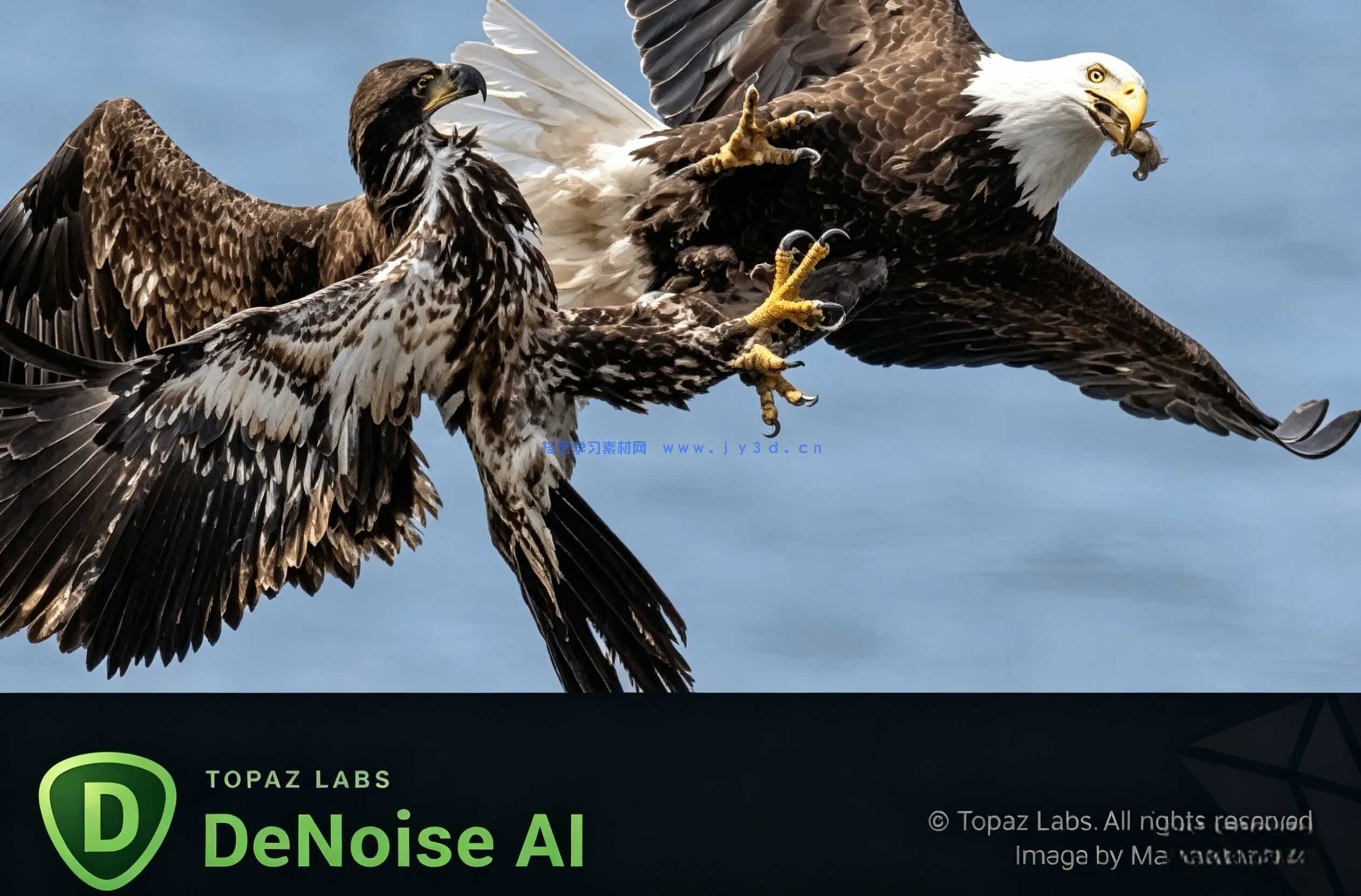 Topaz DeNoise AI  - 专业图像降噪软件下载
