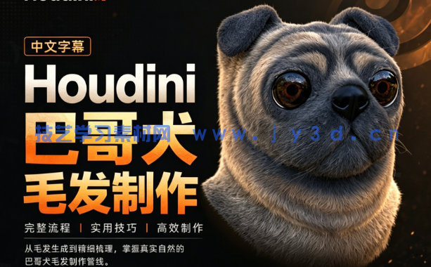 【中文字幕】Houdini半写实巴哥犬毛发制作实战训练视频教程