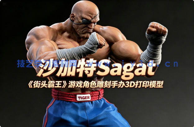 沙加特Sagat《街头霸王》游戏角色雕刻手办3D打印模型